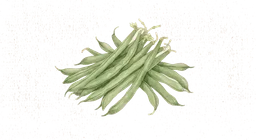bønner