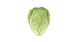 hjertesalat