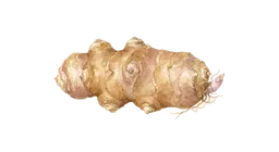 jordskokk