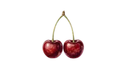 moreller