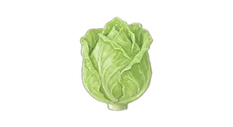 nykål
