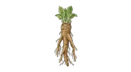 pepperrot