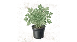 persille