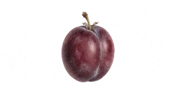 plommer