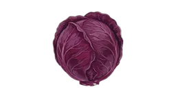 rødkål