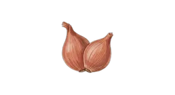 sjarlottløk
