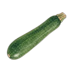 squash