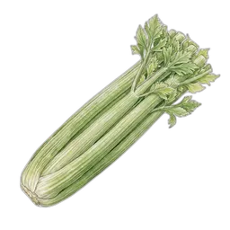 stangselleri