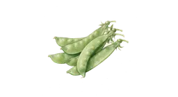 sukkererter