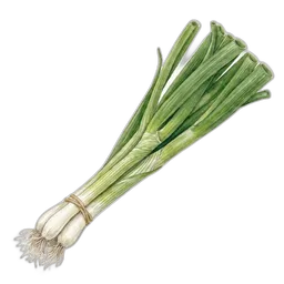 vårløk